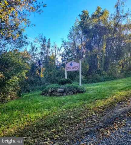 a view of a yard with trees