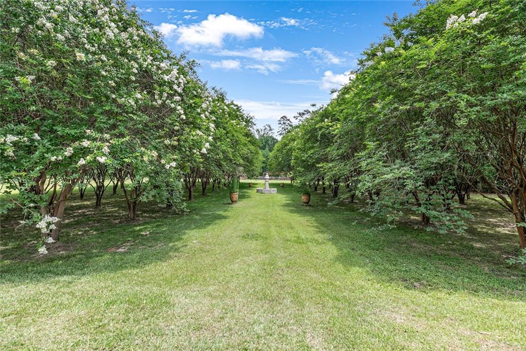 10175 Core Cemetery Road Folsom, LA 70437 - Photo 28 of 59