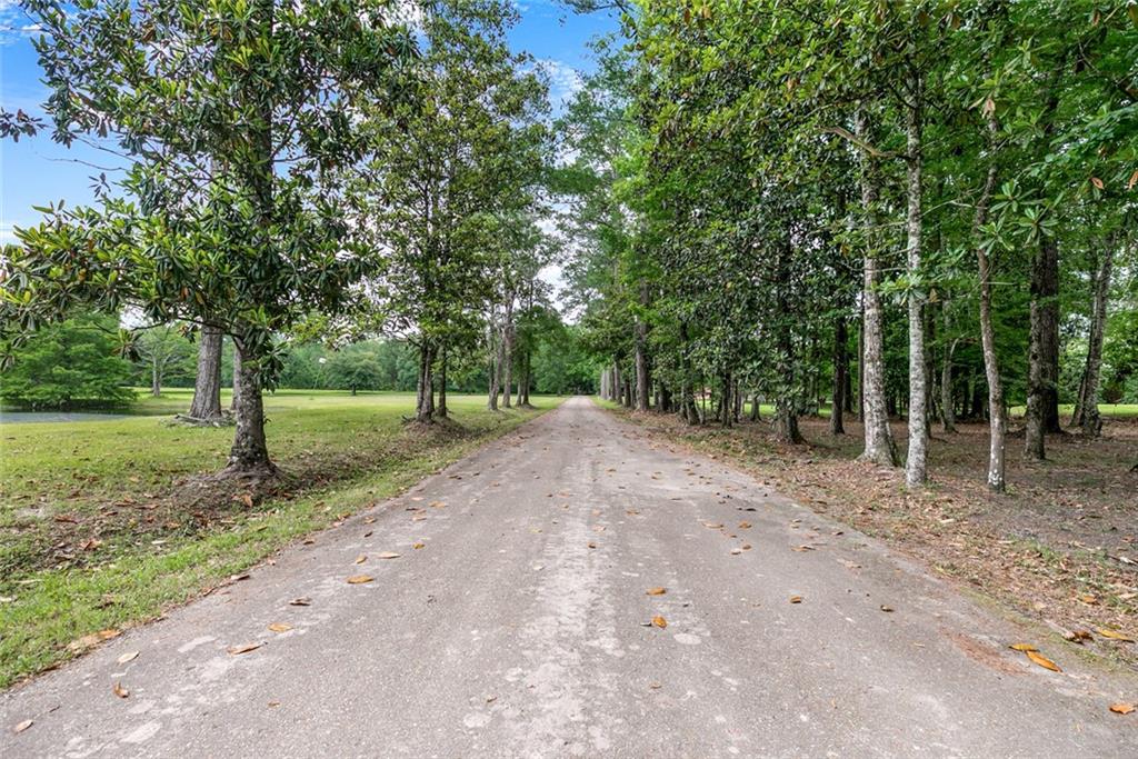 10175 Core Cemetery Road Folsom, LA 70437 - Photo 29 of 59