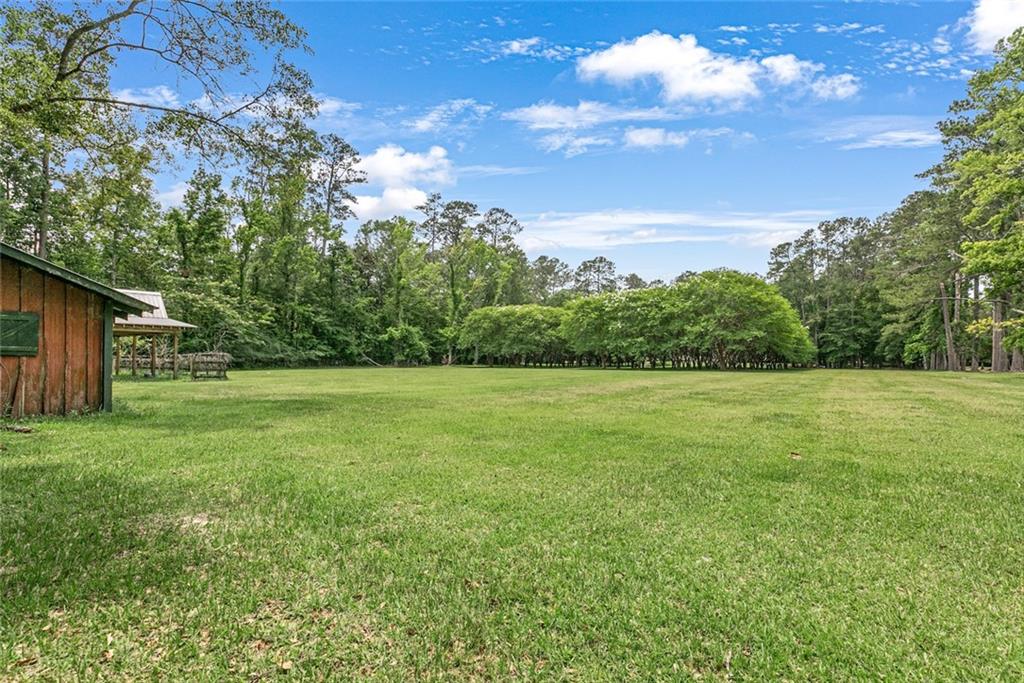 10175 Core Cemetery Road Folsom, LA 70437 - Photo 31 of 59
