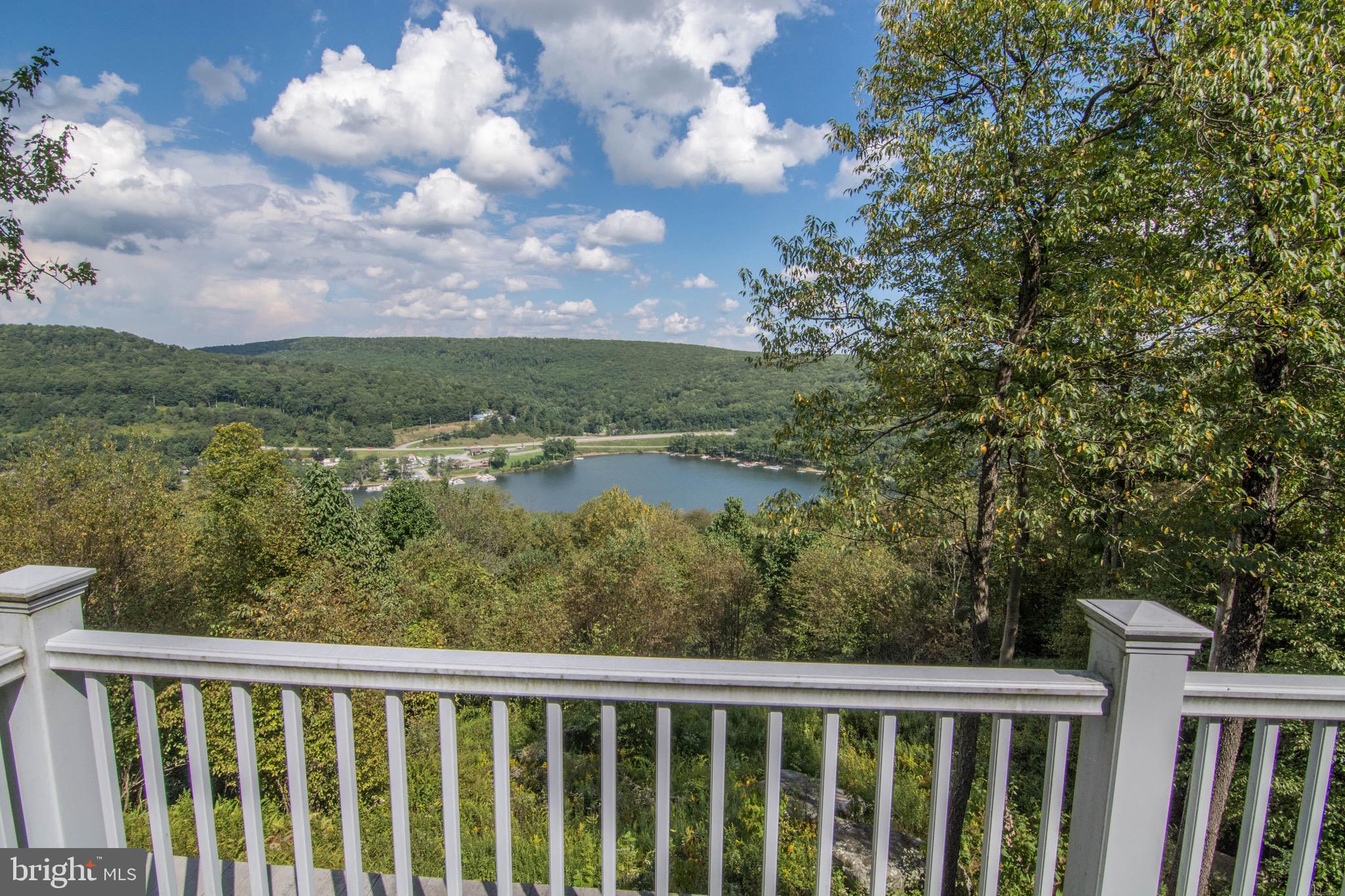 38 Parkside Court North McHenry, MD 21541 - Photo 2 of 60 a view of a city with lots of trees