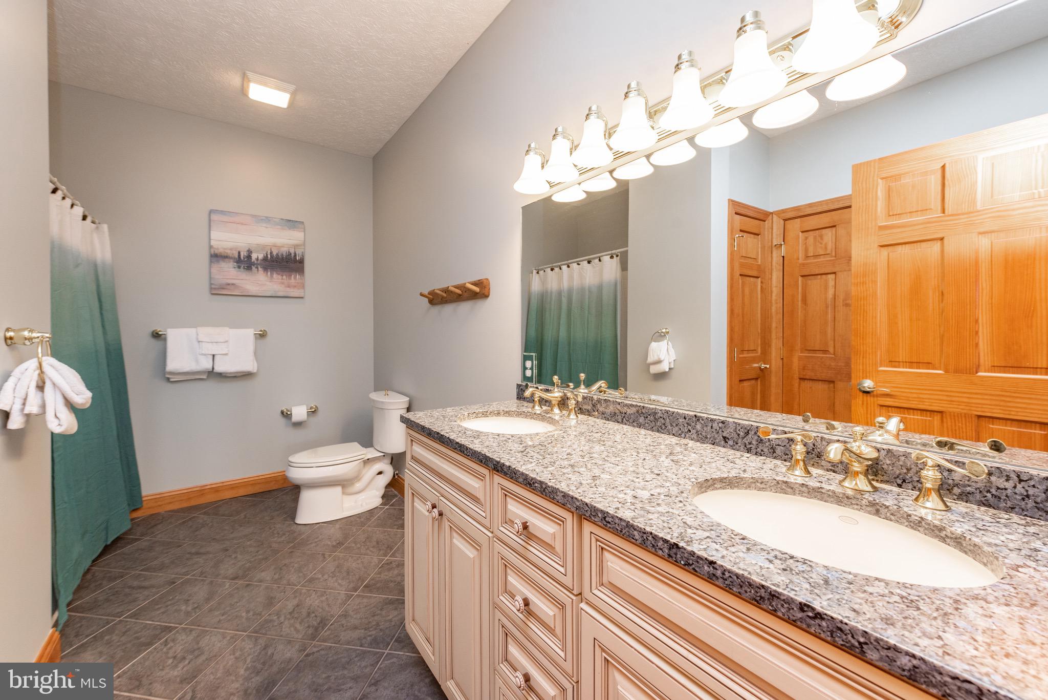 38 Parkside Court North McHenry, MD 21541 - Photo 27 of 60 a bathroom with a granite countertop double vanity sink mirror and toilet