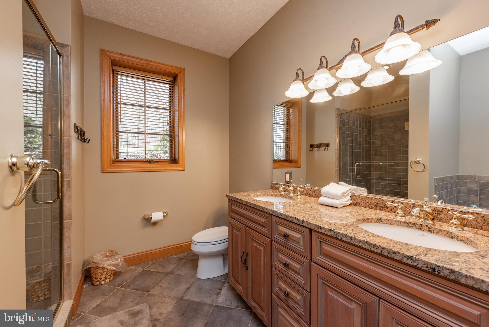 38 Parkside Court North McHenry, MD 21541 - Photo 28 of 60 a bathroom with a granite countertop sink a toilet and a mirror