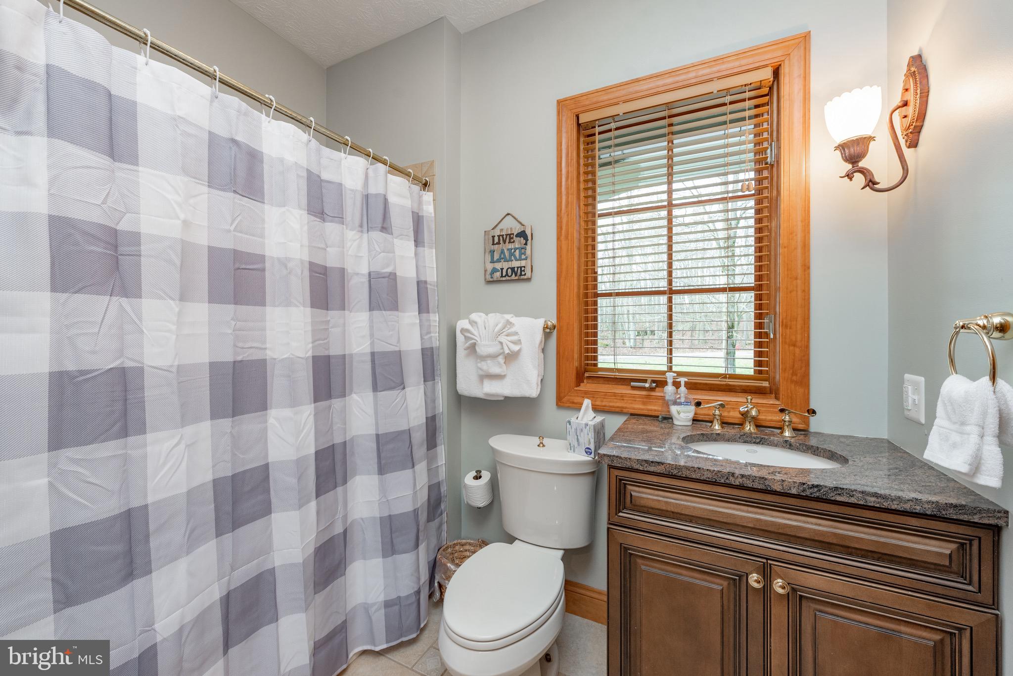 38 Parkside Court North McHenry, MD 21541 - Photo 36 of 60 a bathroom with a granite countertop toilet a sink and a mirror