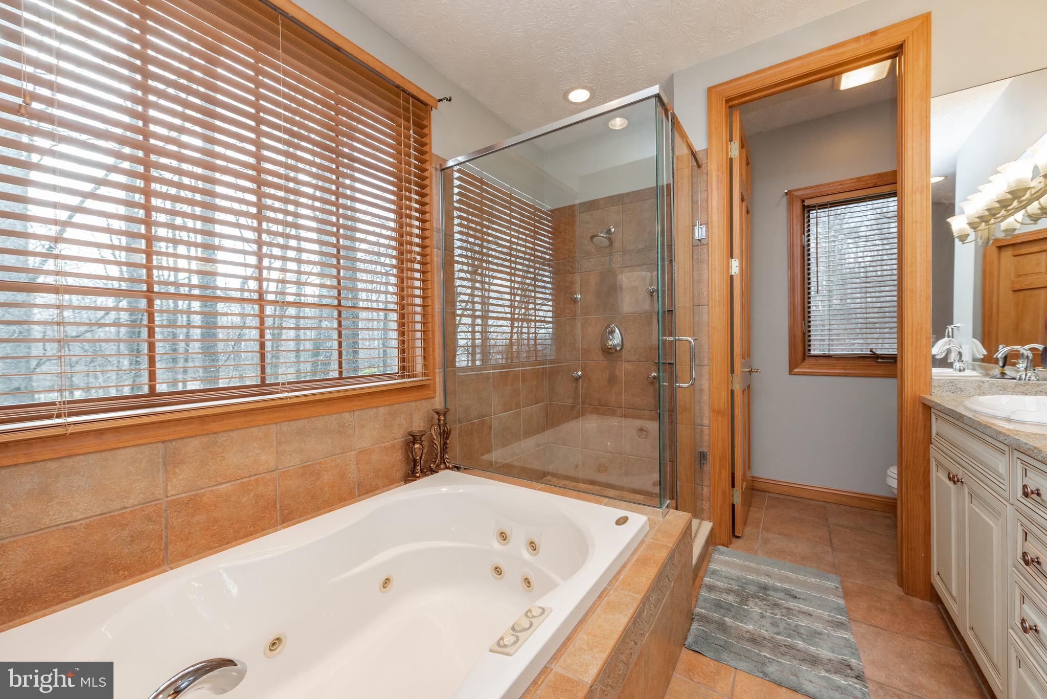 38 Parkside Court North McHenry, MD 21541 - Photo 39 of 60 a bathroom with a bathtub and a sink