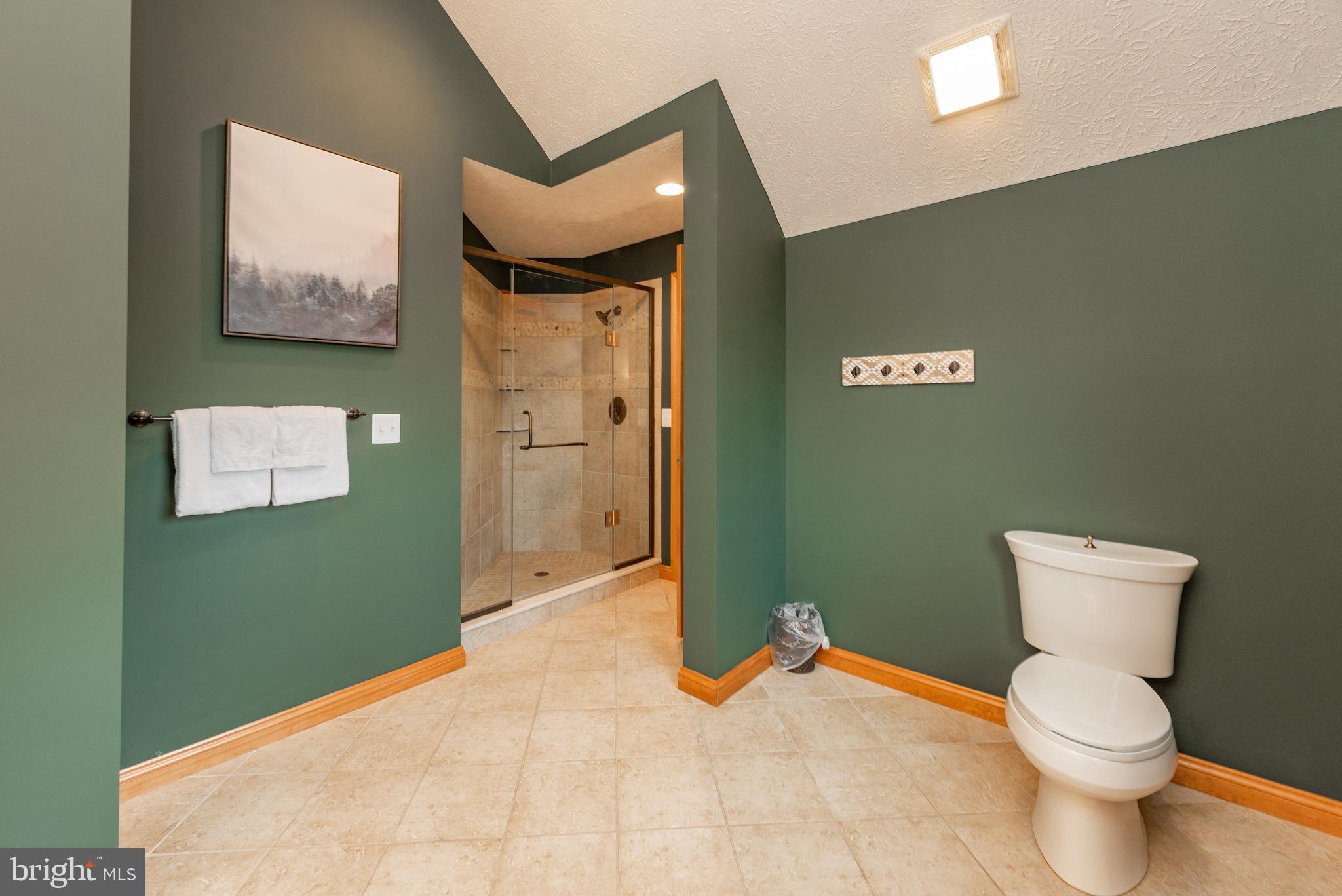 38 Parkside Court North McHenry, MD 21541 - Photo 47 of 60 a bathroom with a toilet and a sink