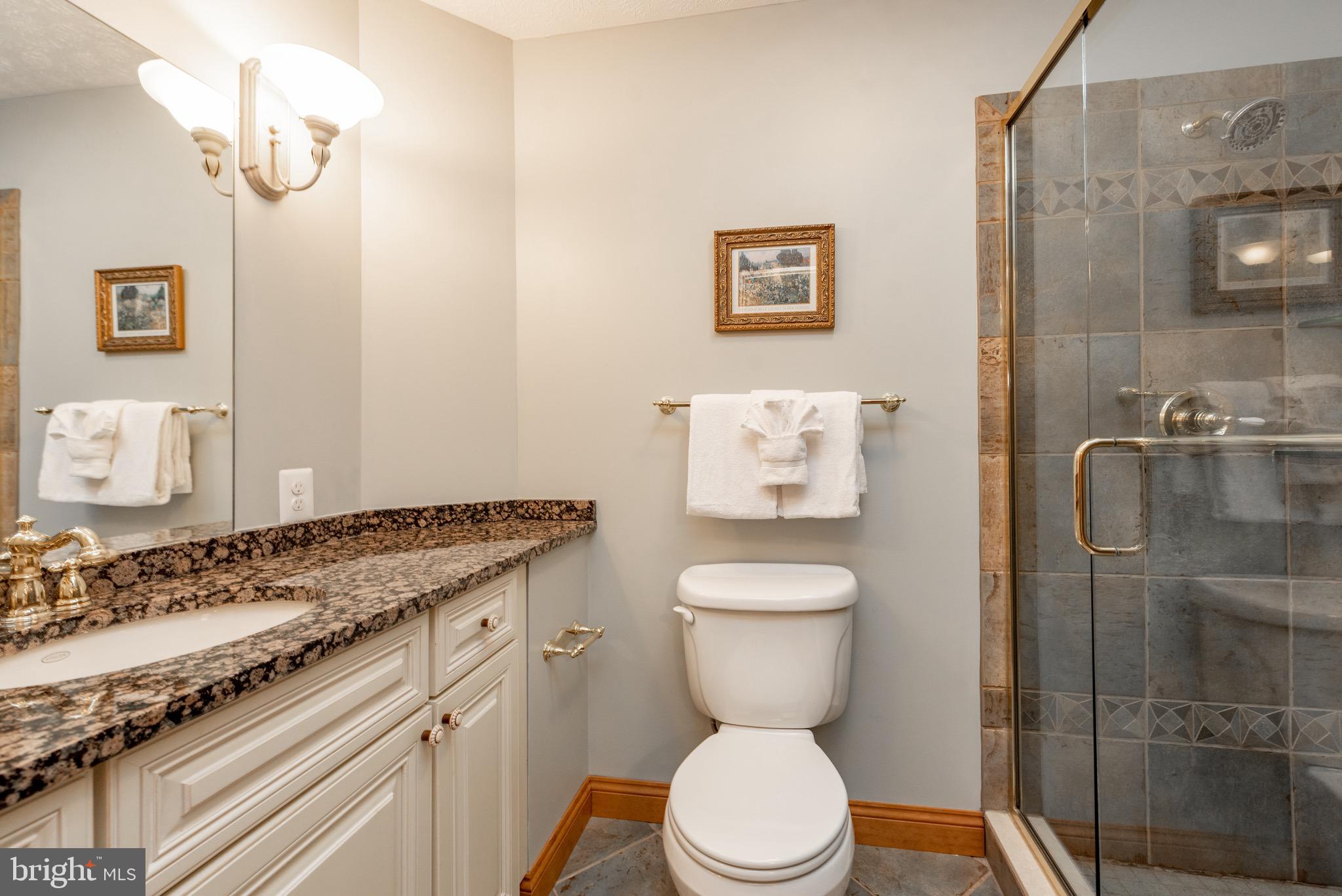 38 Parkside Court North McHenry, MD 21541 - Photo 52 of 60 a bathroom with a granite countertop sink toilet and shower