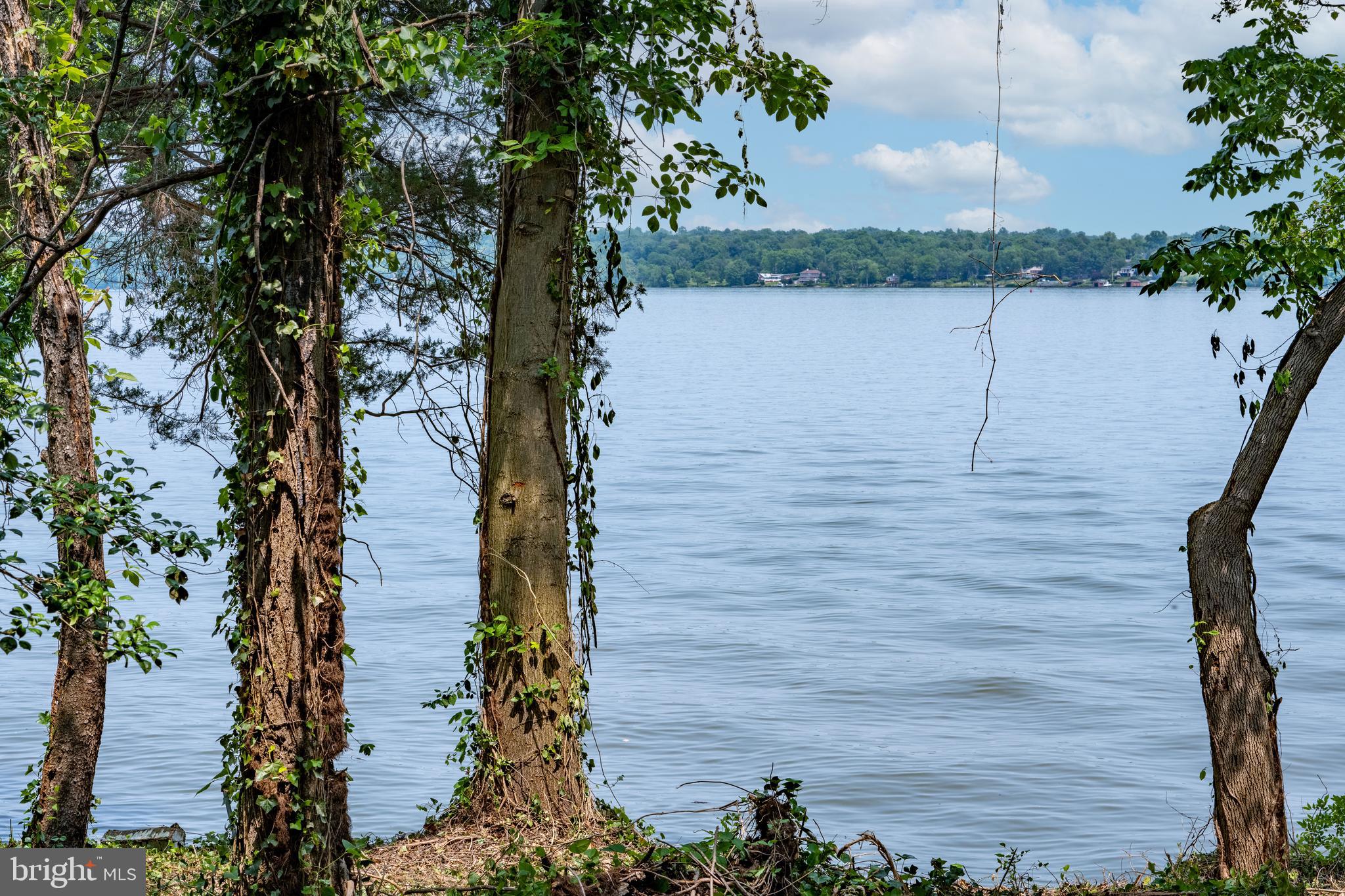 7813 Southdown Road Alexandria, VA 22308 - Photo 17 of 38