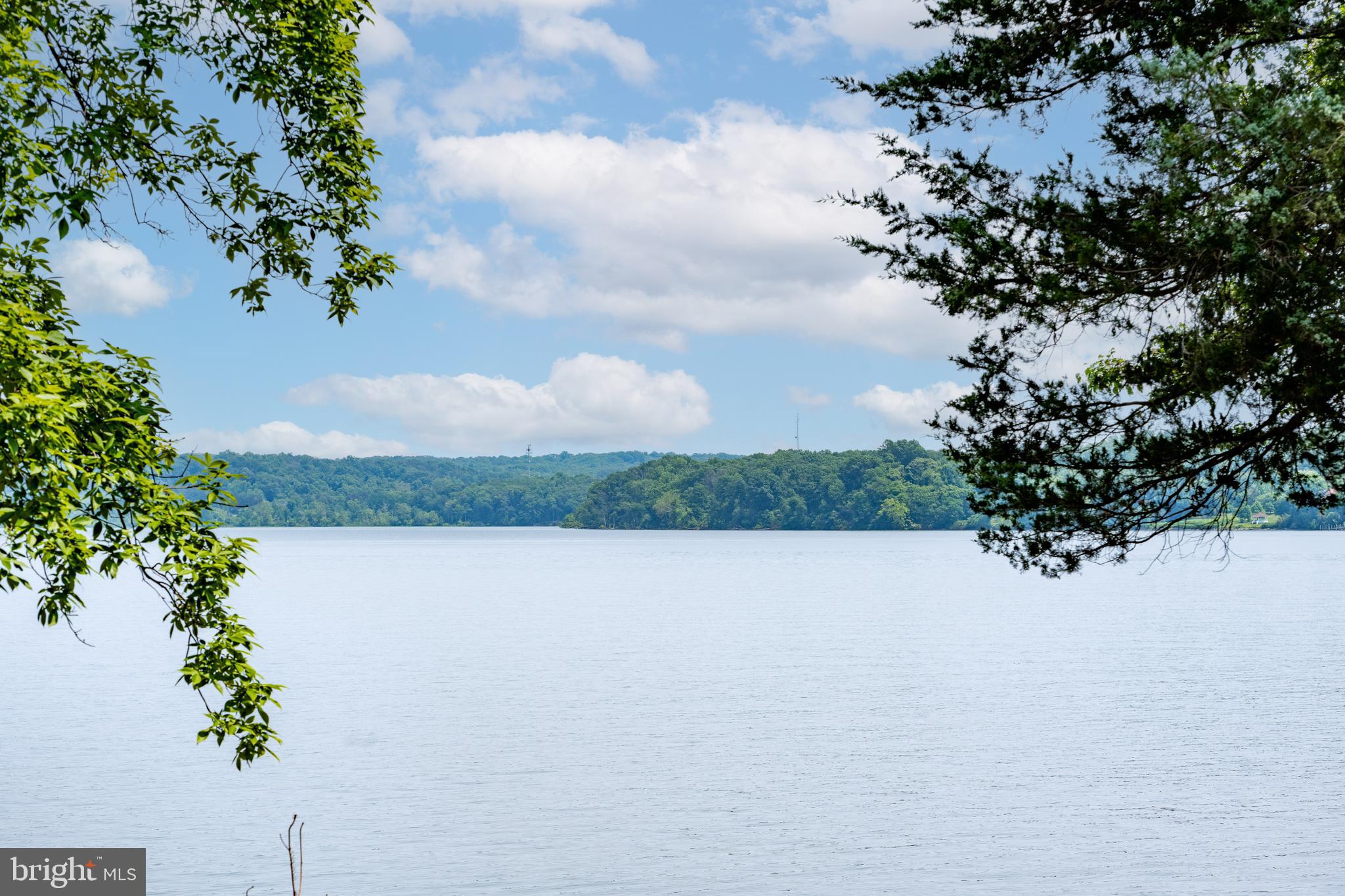 7813 Southdown Road Alexandria, VA 22308 - Photo 2 of 38