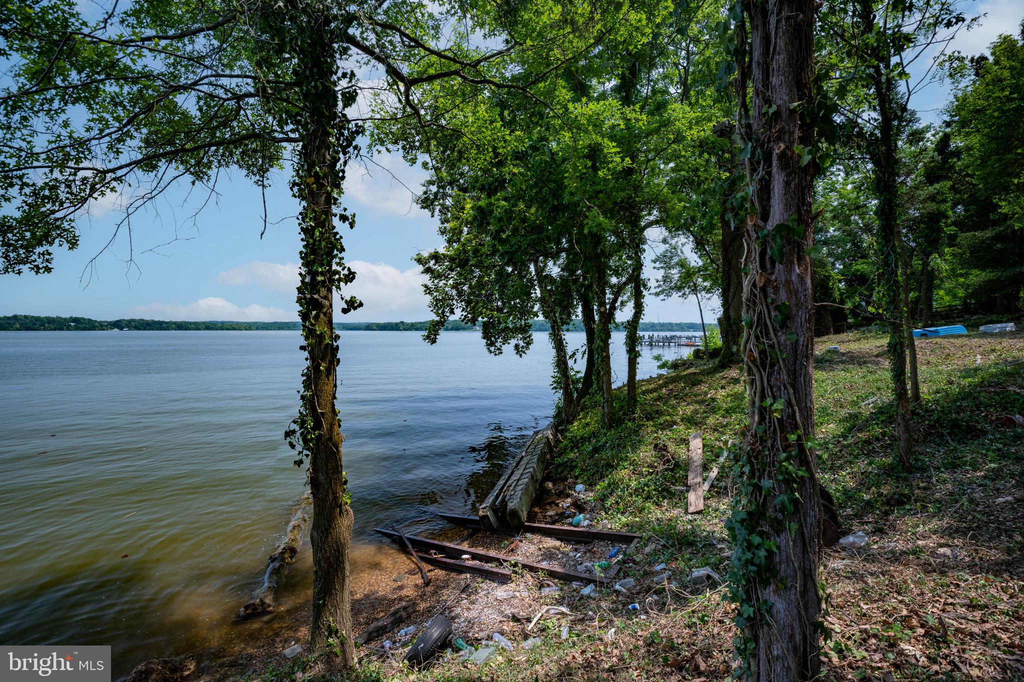 7813 Southdown Road Alexandria, VA 22308 - Photo 23 of 38