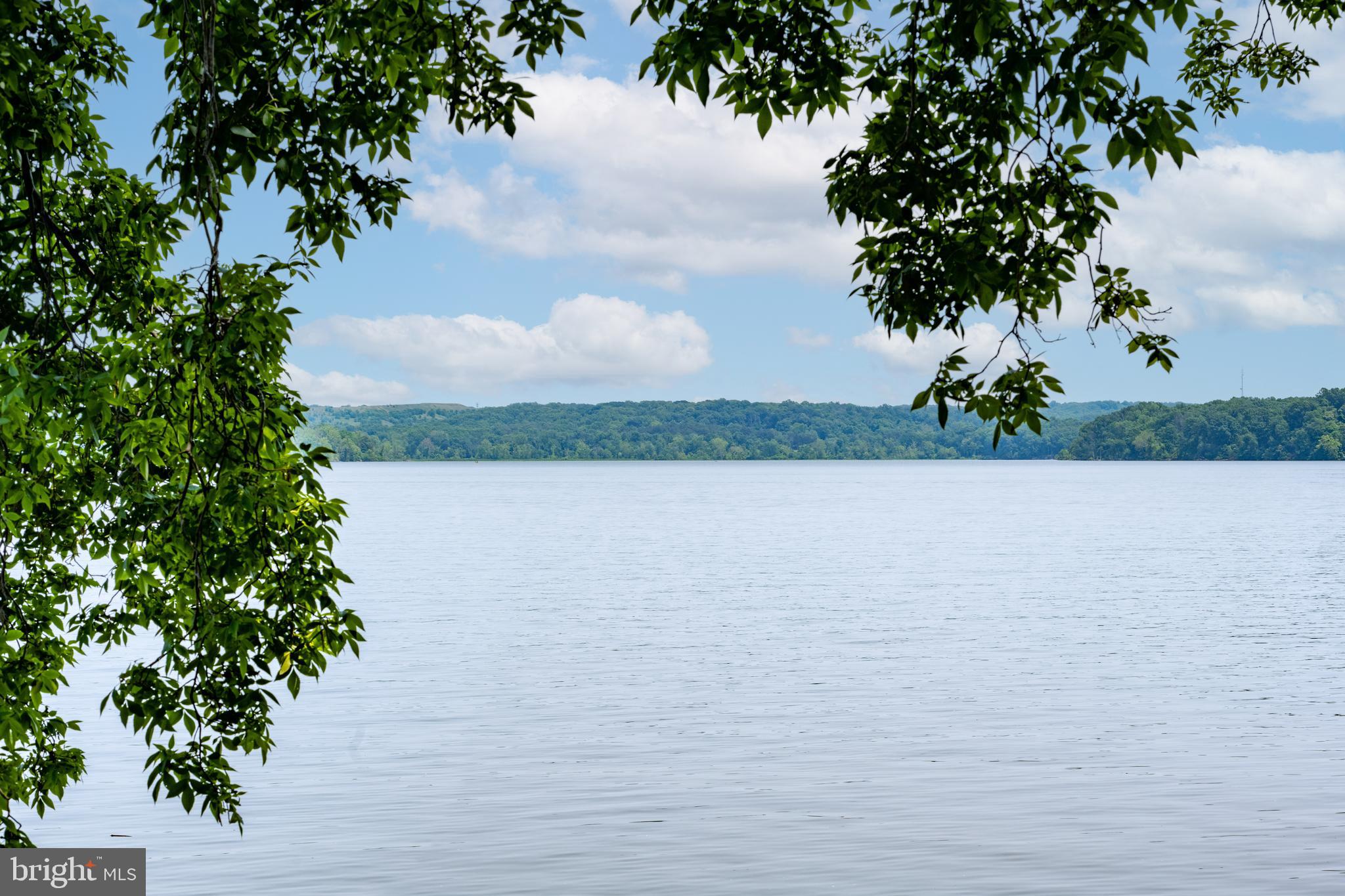 7813 Southdown Road Alexandria, VA 22308 - Photo 3 of 38