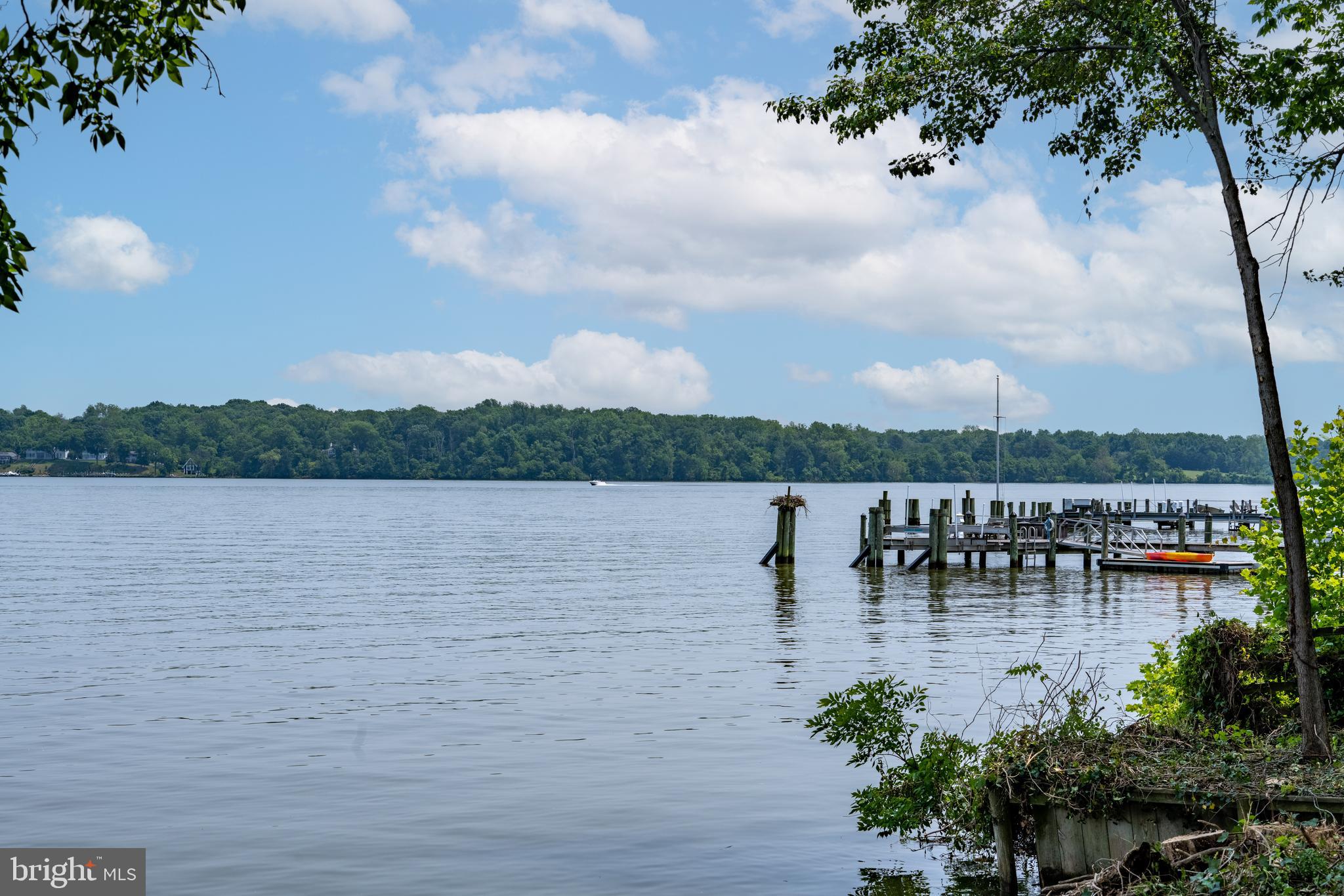 7813 Southdown Road Alexandria, VA 22308 - Photo 6 of 38
