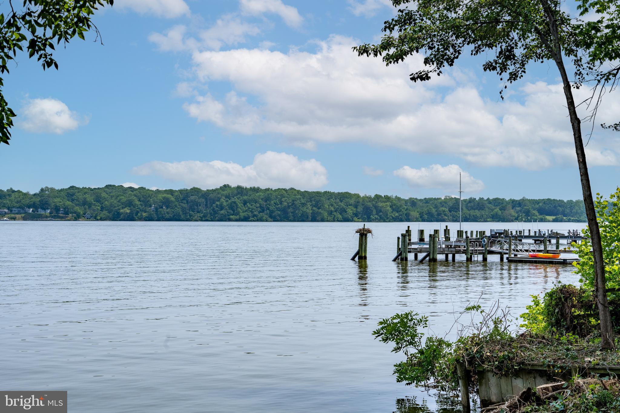 7813 Southdown Road Alexandria, VA 22308 - Photo 7 of 38
