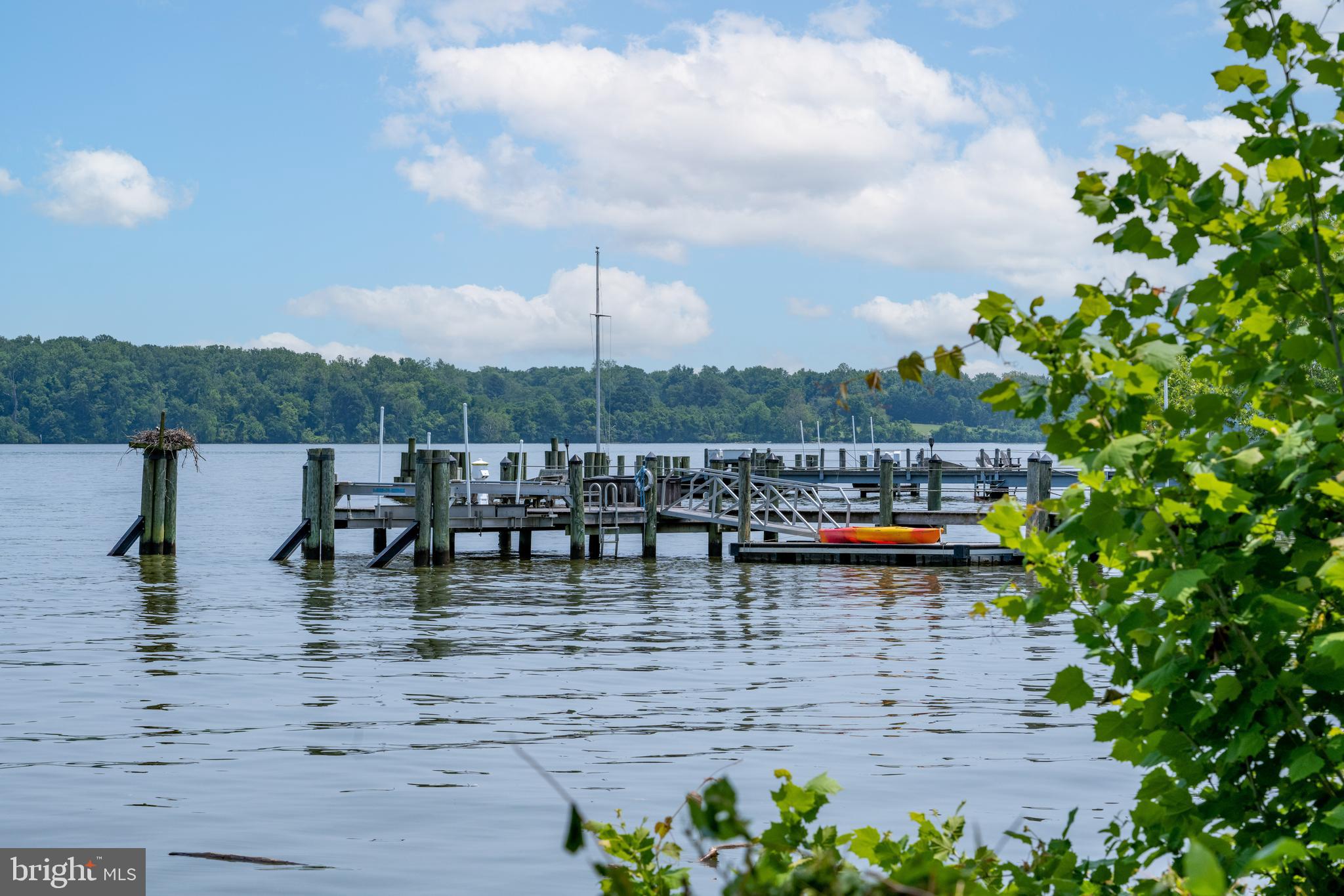 7813 Southdown Road Alexandria, VA 22308 - Photo 8 of 38