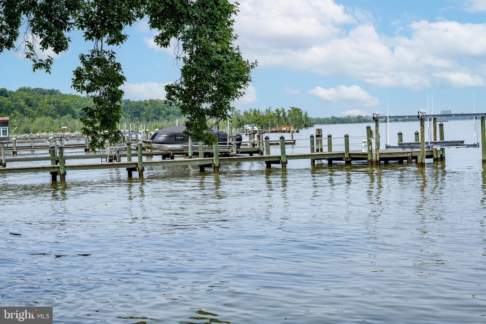 7813 Southdown Road Alexandria, VA 22308 - Photo 9 of 38