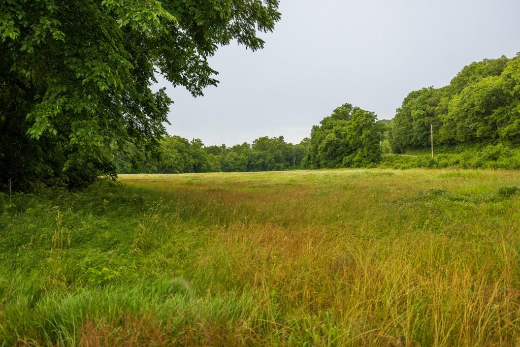 Tbd Norris Road Rayville, MO 64084 - Photo 17 of 35