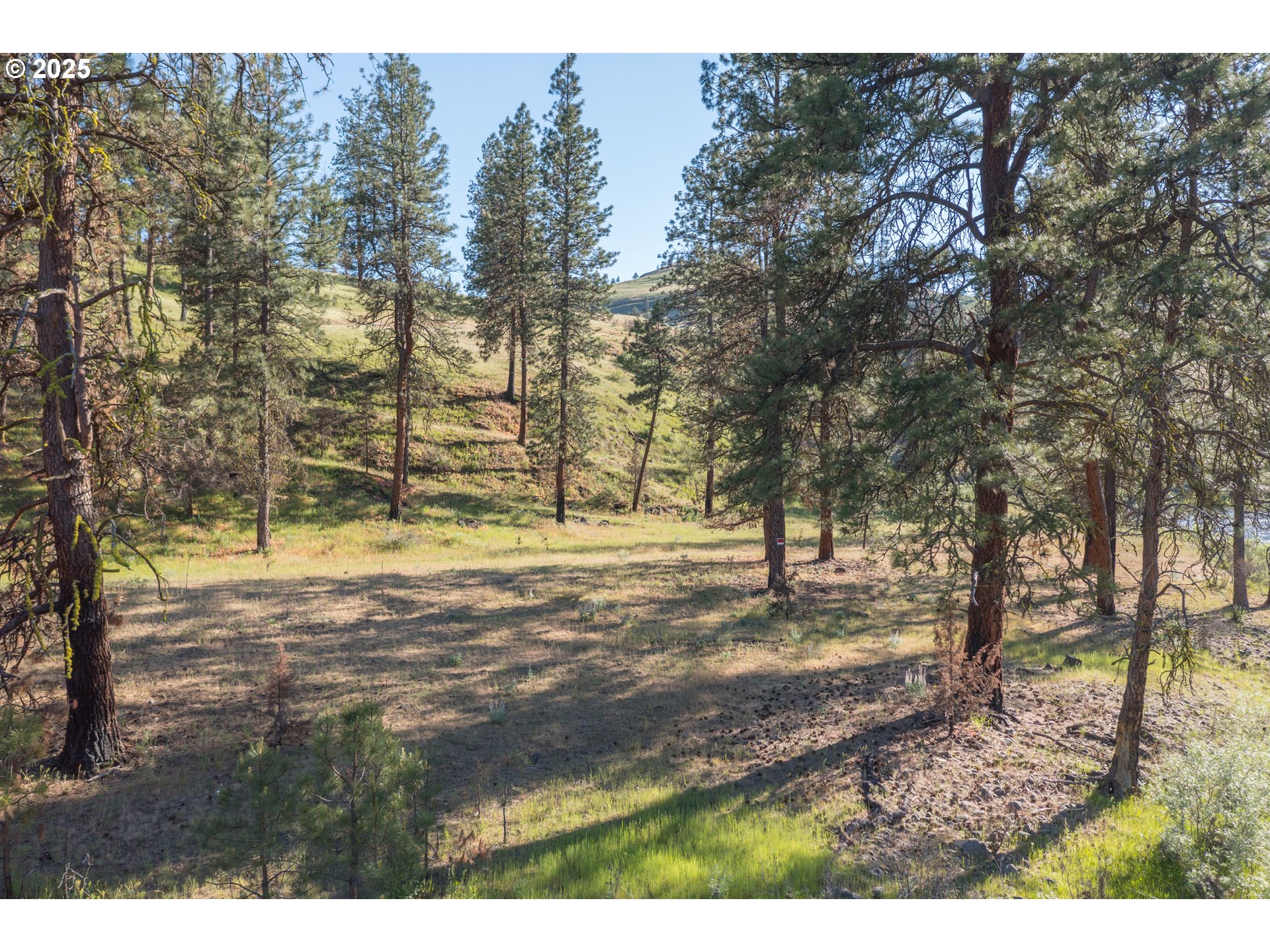 0 North Fork Road Long Creek, OR 97856 - Photo 28 of 48 Gallery Image 28