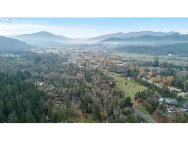 a black and white photo of a forest