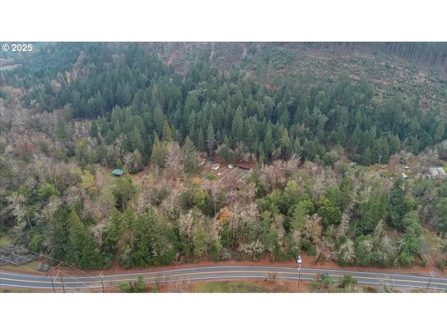a view of a bench in middle of the forest