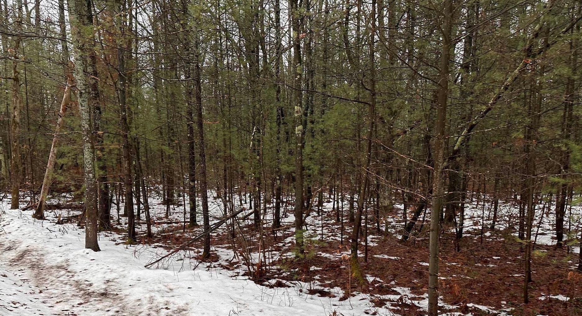 D Albrecht Road Interlochen, MI 49643 - Photo 1 of 6