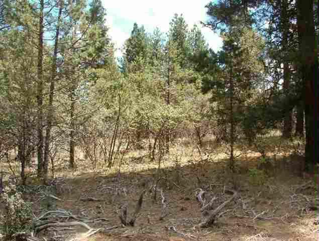 0 Hillcrest Klamath Falls, OR 97627 - Photo 5 of 5 Additional Photo