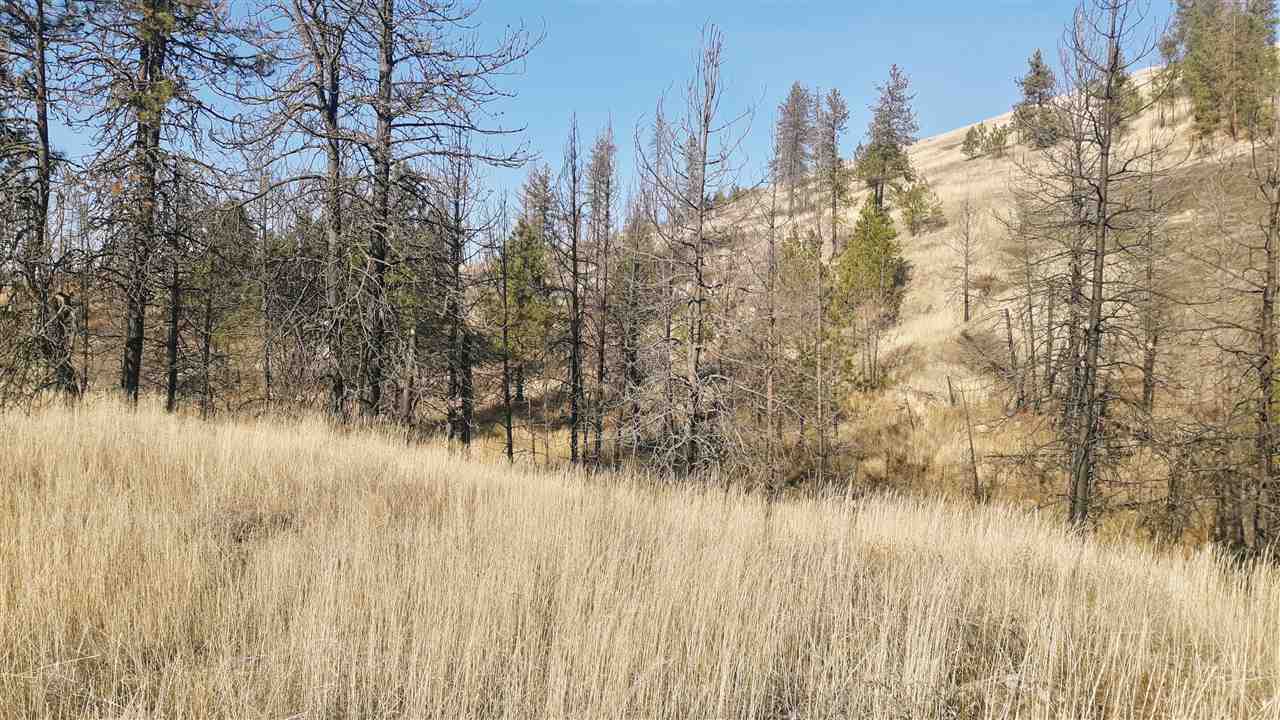 6045 Carpenter Road, Unit Q Fruitland, WA 99129 - Photo 7 of 17 Gallery Image 7