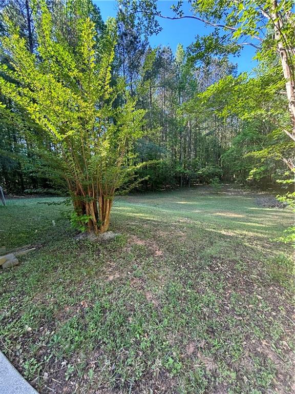 1417 Cook Road Oxford, GA 30054 - Photo 9 of 9