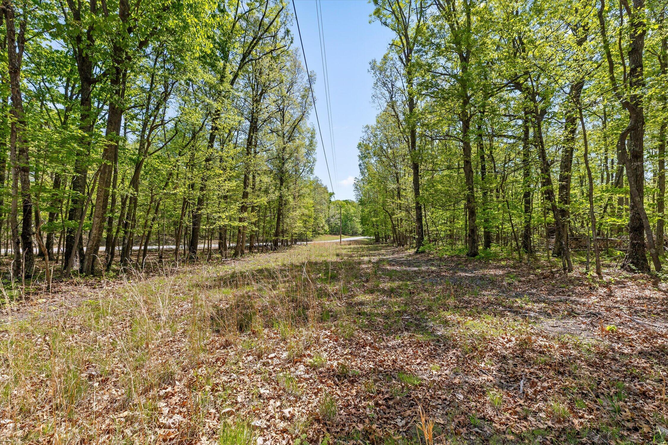 0 Deepwoods Road, Unit 12 Sewanee, TN 37375 - Photo 36 of 50 08-Deepwoods-8