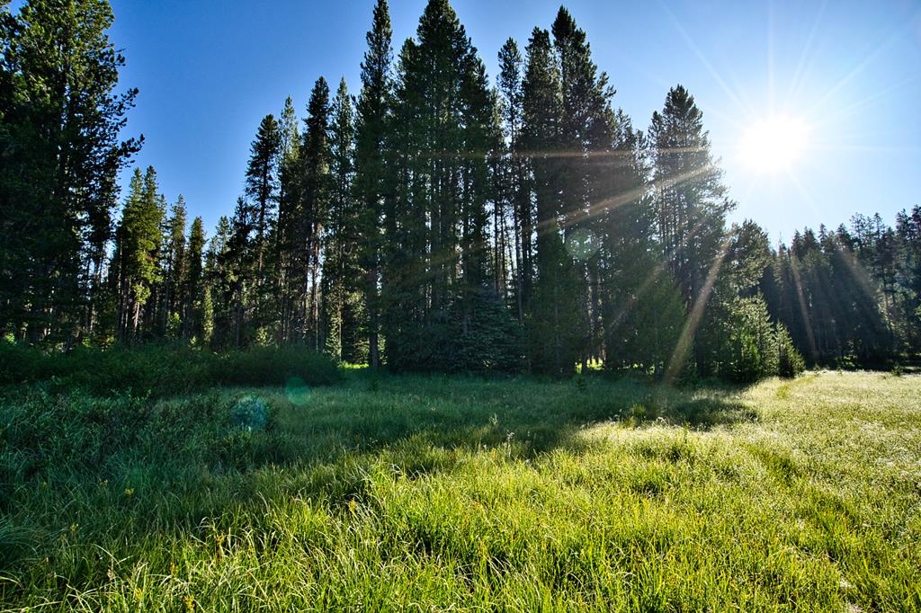 Tbd Tbd Secesh River Road, Unit 52 McCall, ID 83638 - Photo 11 of 18