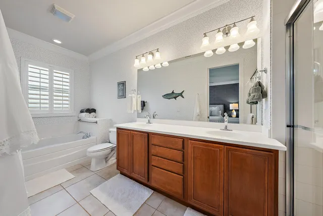 a bathroom with a toilet a sink a mirror a bathtub and vanity