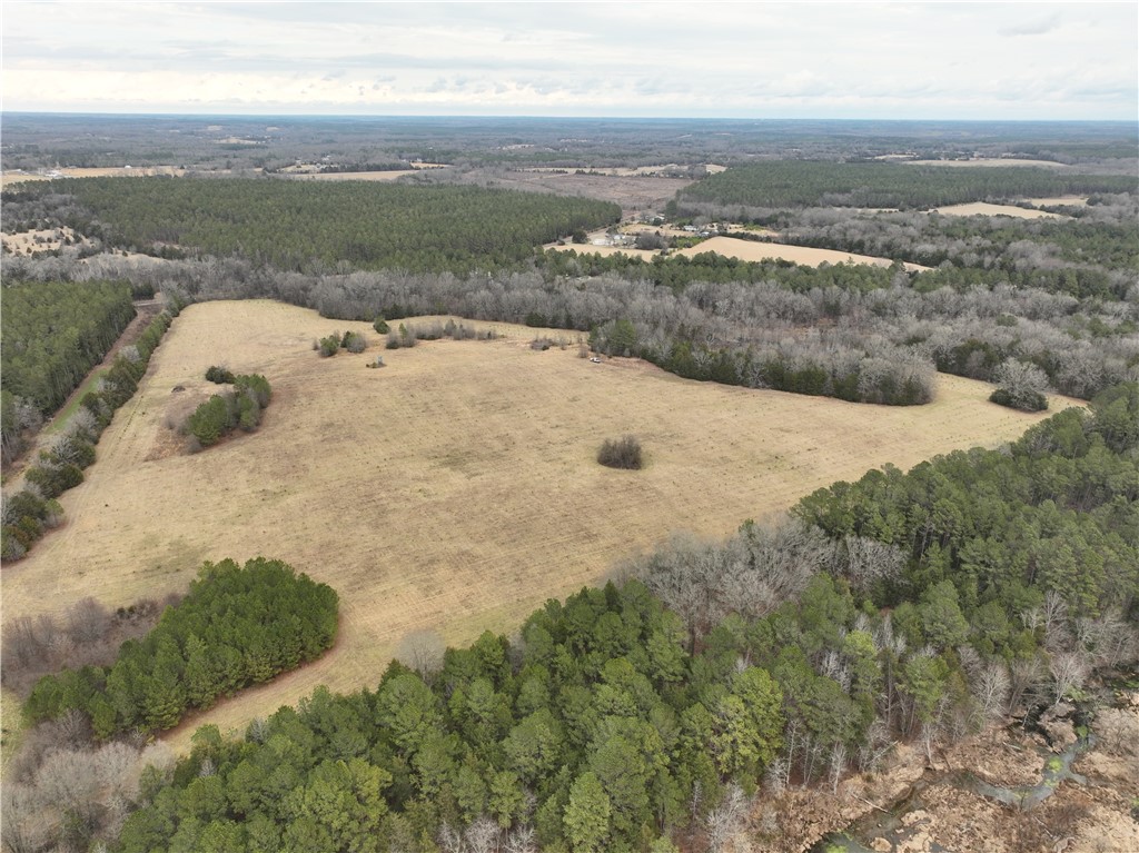 1 Seneca St Extension Calhoun Falls, SC 29628 - Photo 19 of 32 Expansive acreage provides a verdant canvas for development or secluded enjoyment.