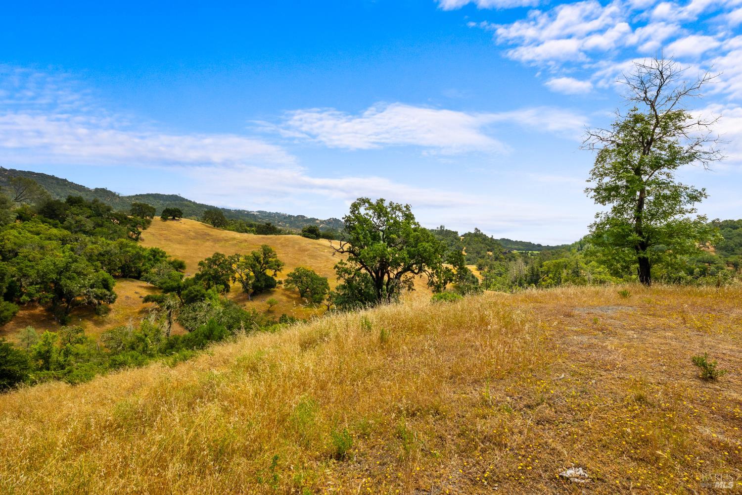 23655 Vineyard Road Geyserville, CA 95441 - Photo 22 of 38