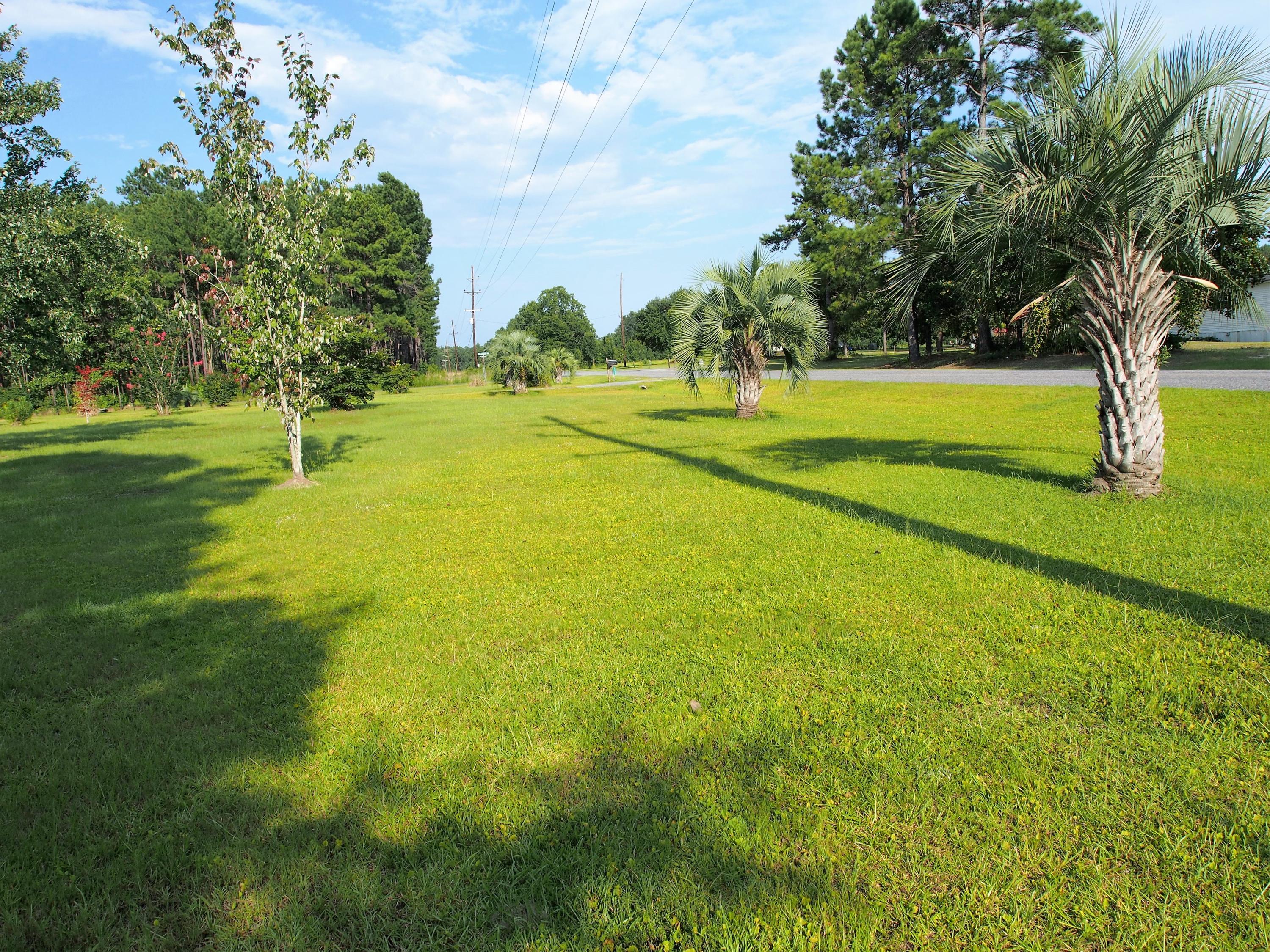 1222 Witherbee Road Moncks Corner, SC 29461 - Photo 39 of 40 yard5