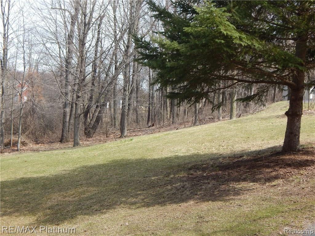 19283 Hickory Ridge Road Fenton, MI 48430 - Photo 62 of 72 DSCN3773.JPG