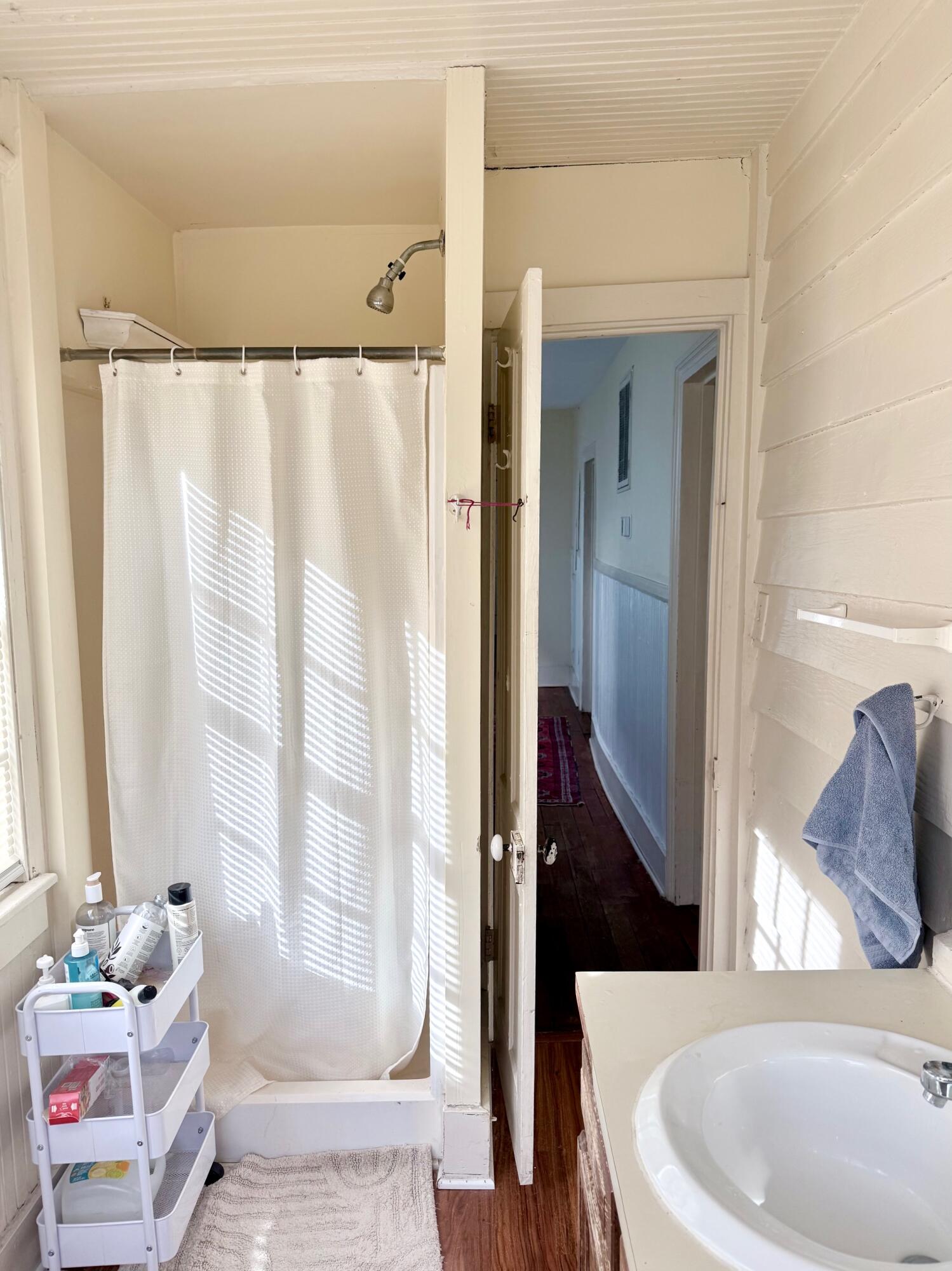 107 Smith Street, Unit B Charleston, SC 29403 - Photo 20 of 21 Shared Full Bathroom