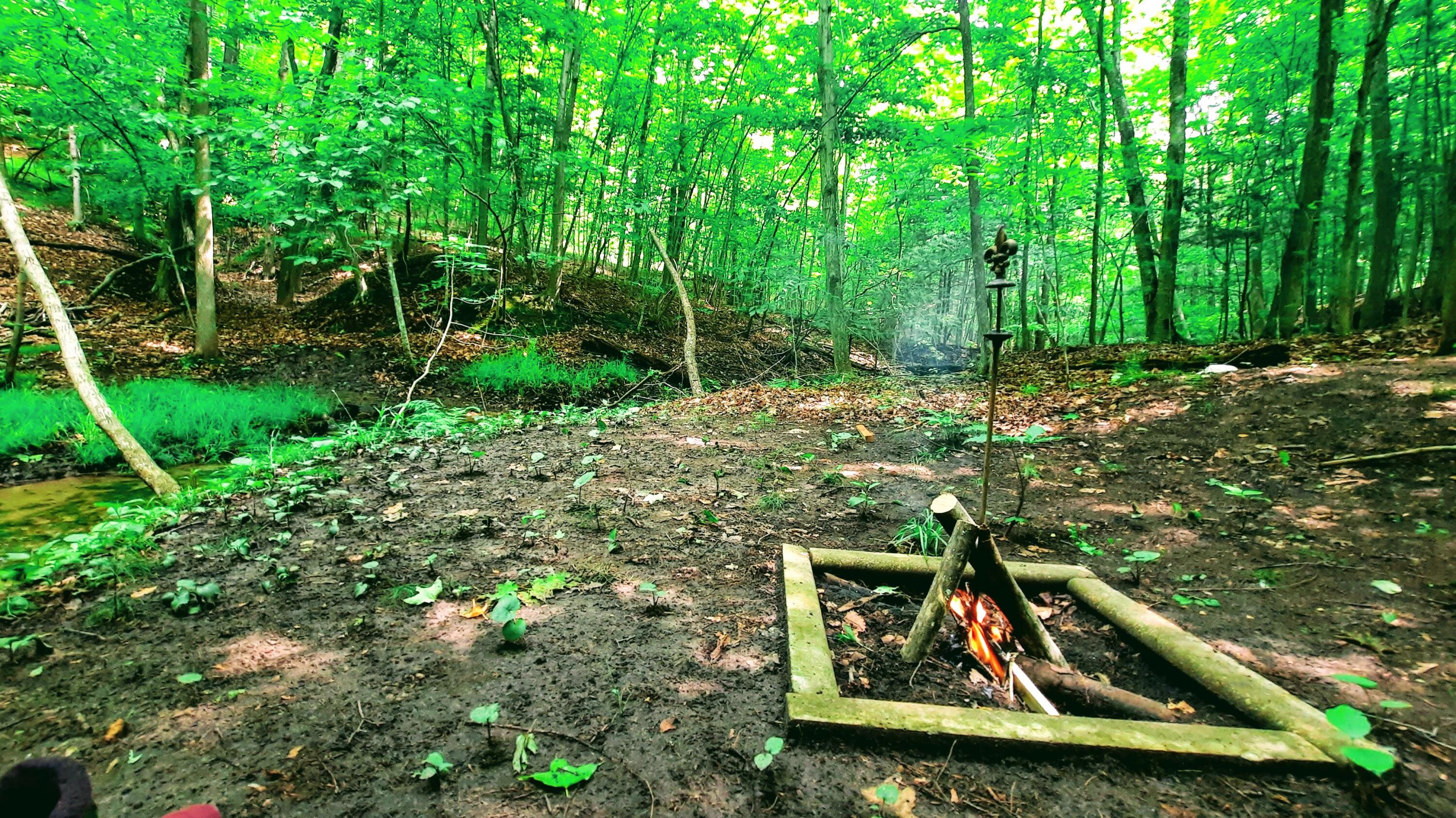 8424 3rd Street Onekama, MI 49675 - Photo 79 of 99 Woodland Firepit
