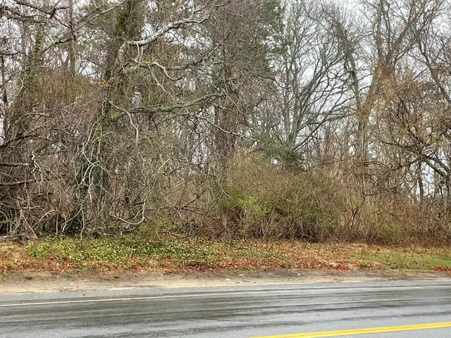 a view of a yard and tree s