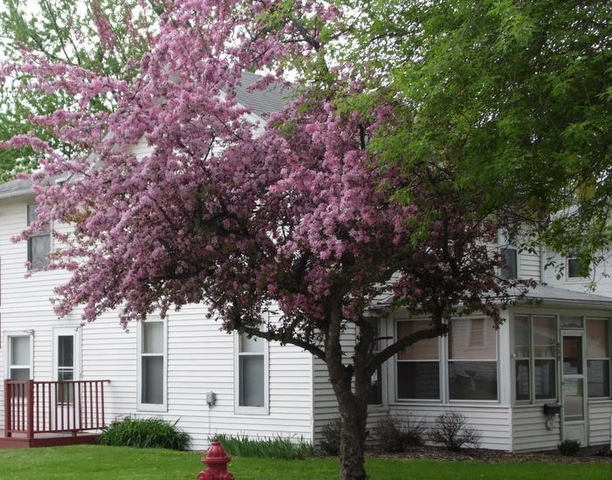 800 1st Avenue Rochelle, IL 61068 - Photo 4 of 24