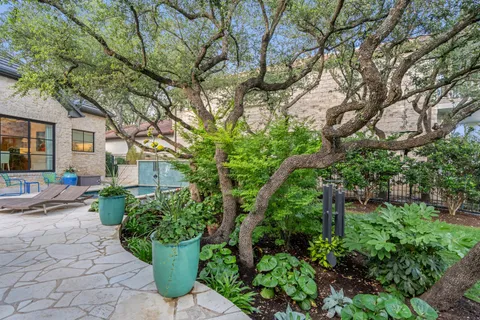 a view of a backyard with potted plants and large trees