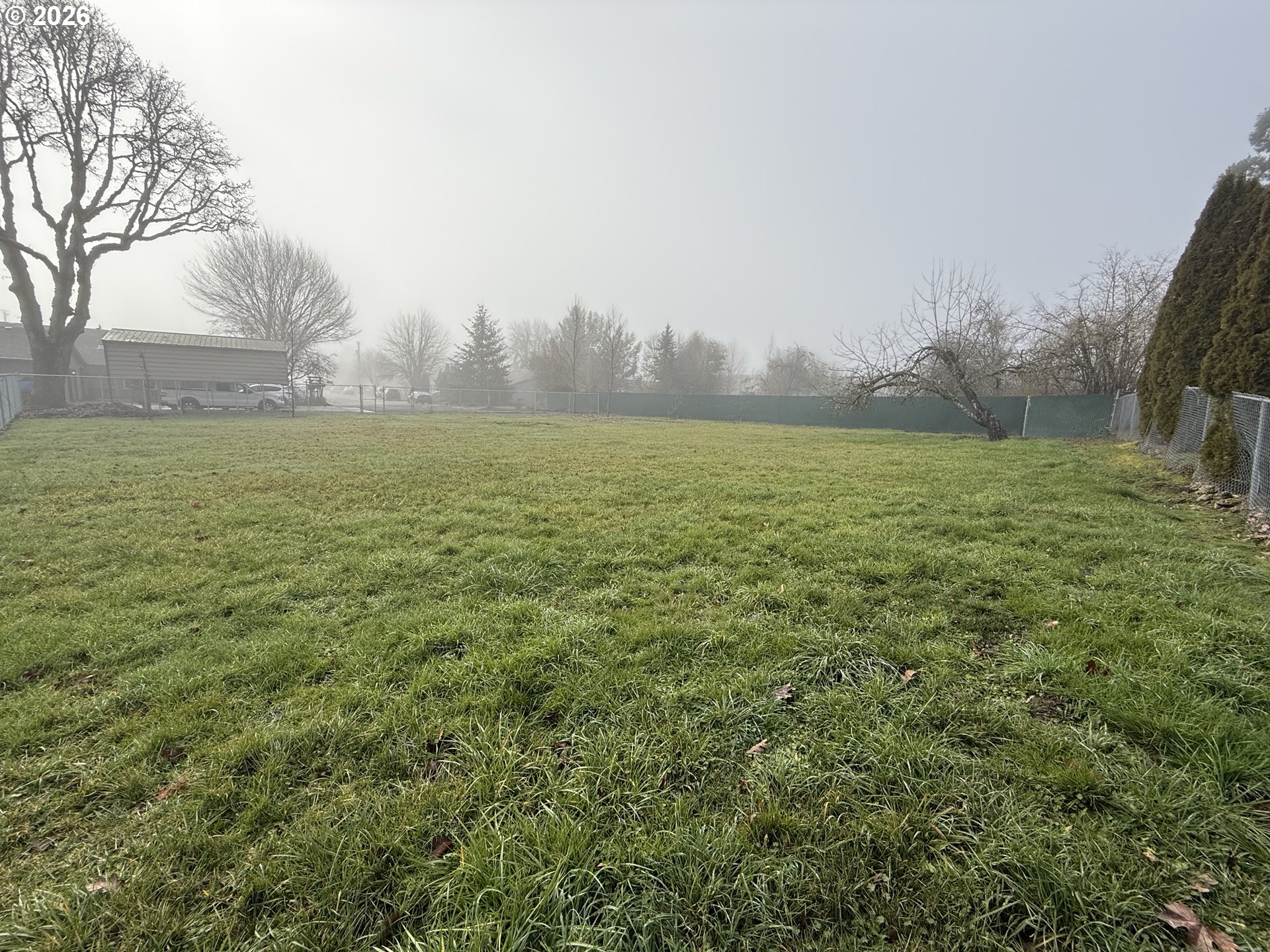 a view of a field with an ocean