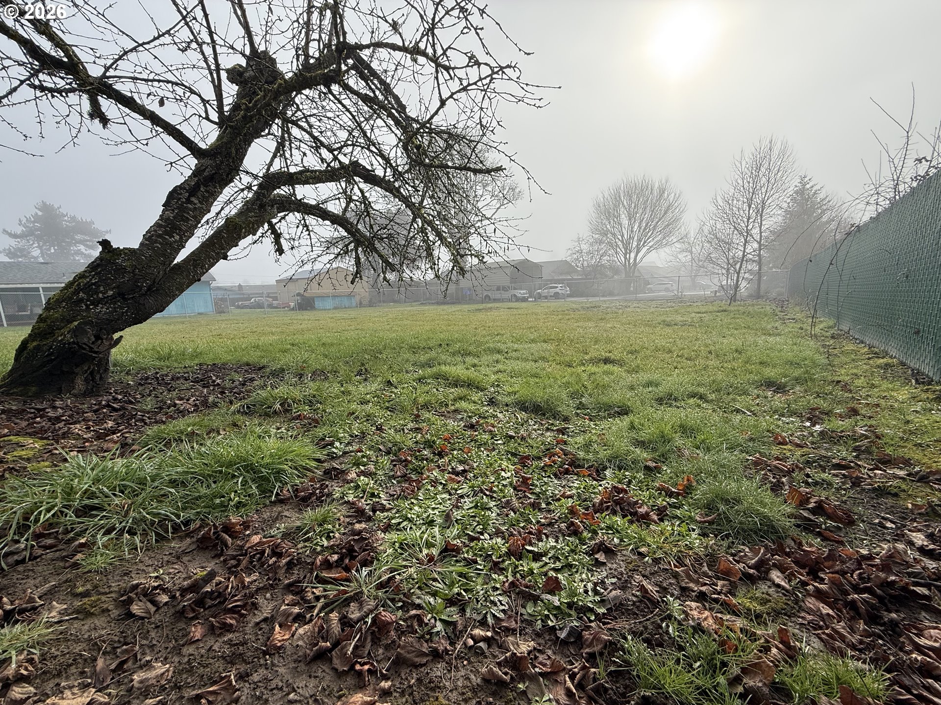 South 2nd Street Carlton, OR 97111 - Photo 7 of 10 a view of outdoor space and yard
