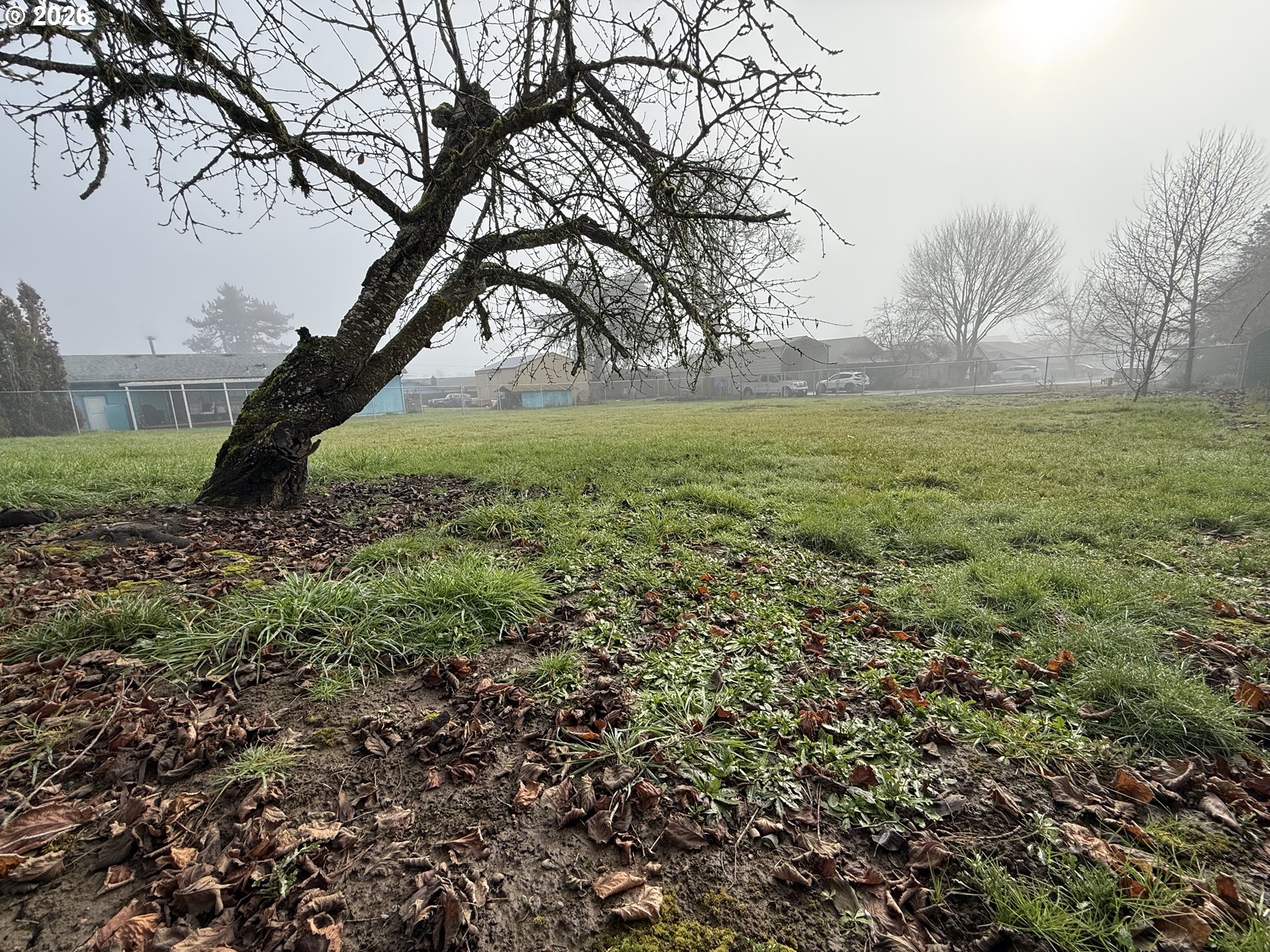 South 2nd Street Carlton, OR 97111 - Photo 8 of 10 a view of outdoor space and yard
