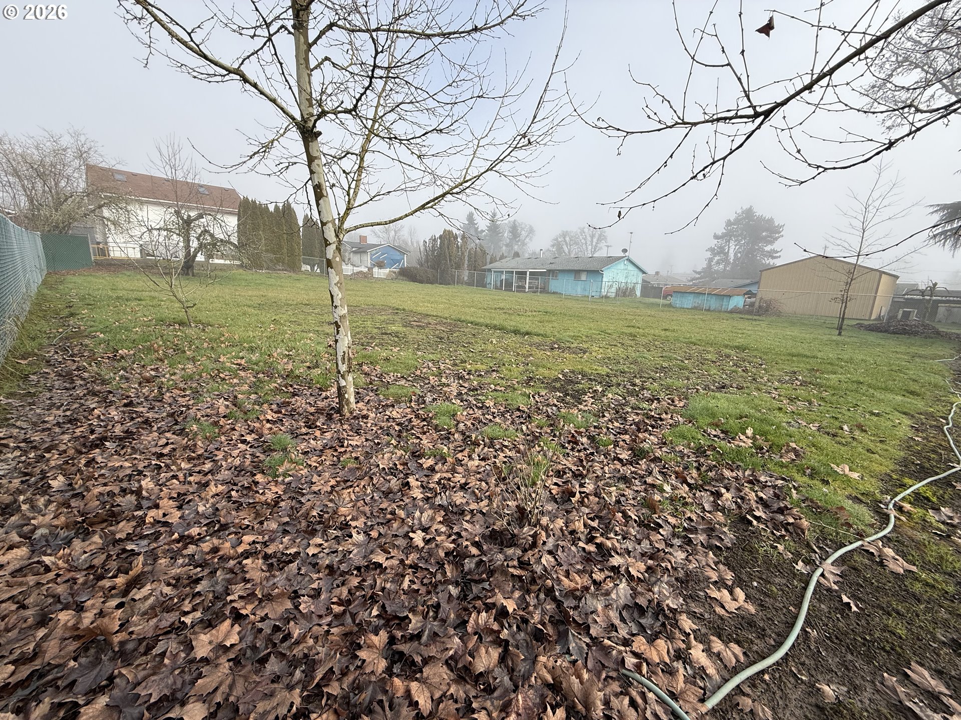 South 2nd Street Carlton, OR 97111 - Photo 9 of 10 a view of yard with tree