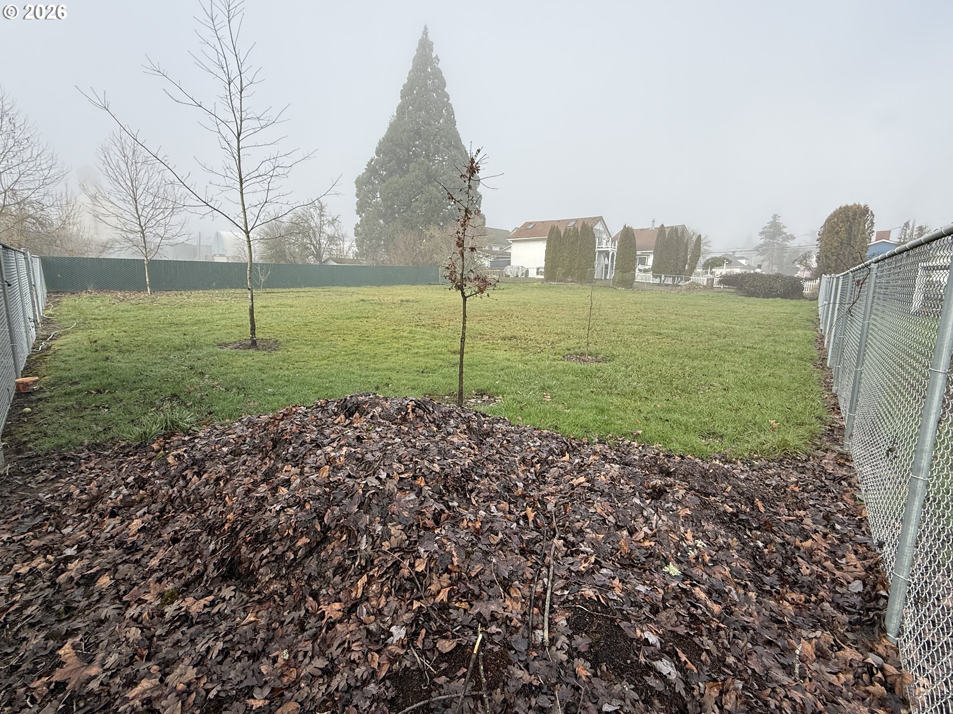 South 2nd Street Carlton, OR 97111 - Photo 10 of 10 a view of a garden with a large trees