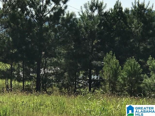 9 Easy Street, Unit 1 Anniston, AL 36207 - Photo 11 of 20