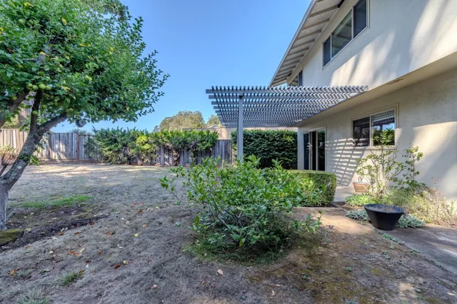 a view of a porch with a potted plant and a large tree