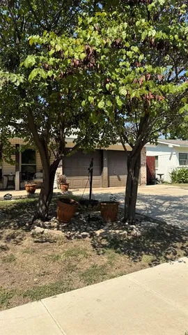 a tree in front of a white house