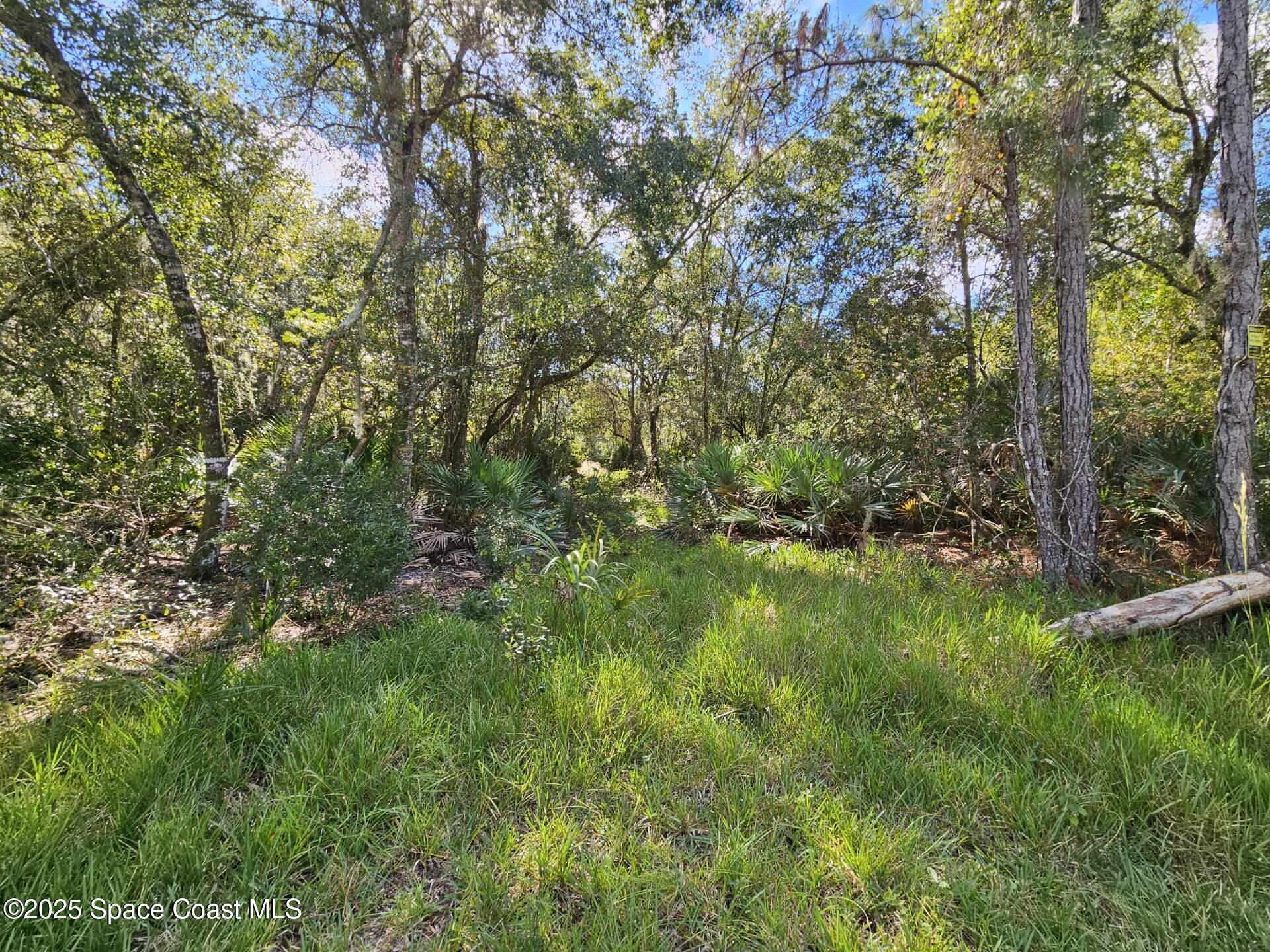 4600 Beacon Light Road Edgewater, FL 32141 - Photo 11 of 11 a view of yard