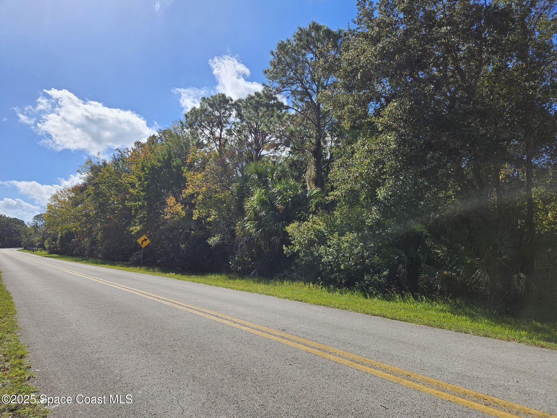 4600 Beacon Light Road Edgewater, FL 32141 - Photo 2 of 11 a view of a yard