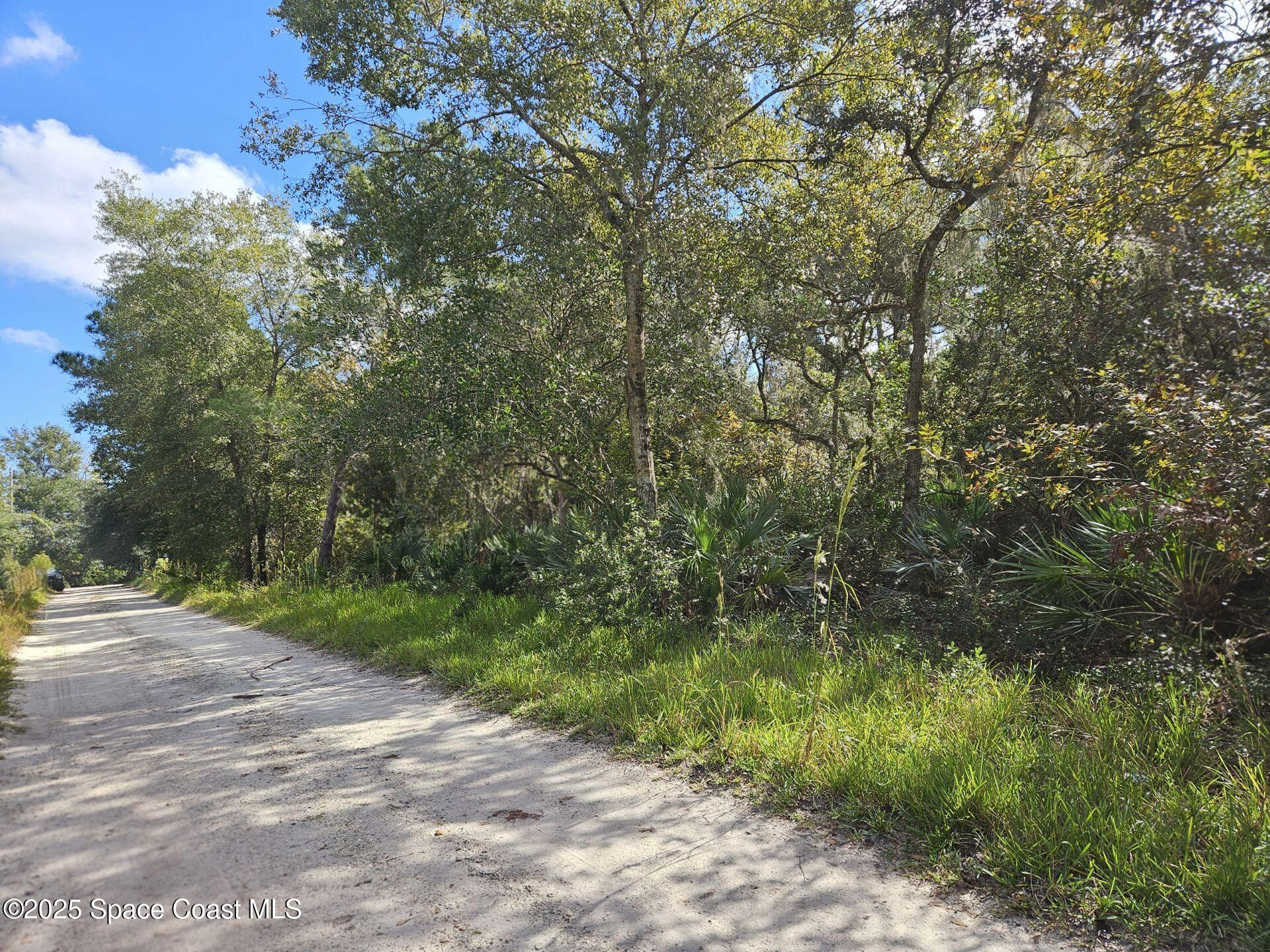 4600 Beacon Light Road Edgewater, FL 32141 - Photo 5 of 11 a view of a street view